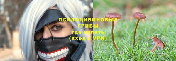 дурь Кинешма