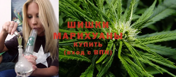 гашик Козловка