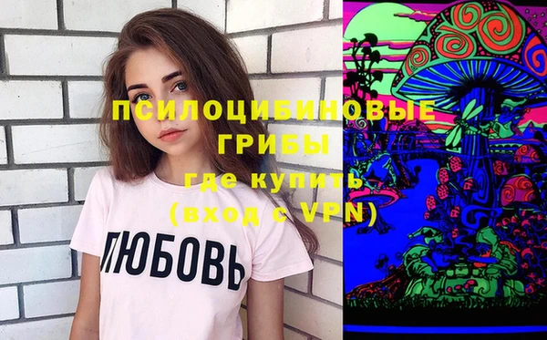 гидра Киренск