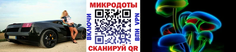 Псилоцибиновые грибы Psilocybe  Ачинск 